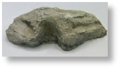 Rock S