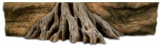 Rock panel with tree and roots