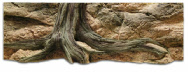 Rock panel with tree and roots